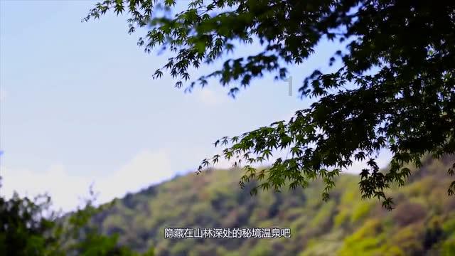 救援蓝鸦