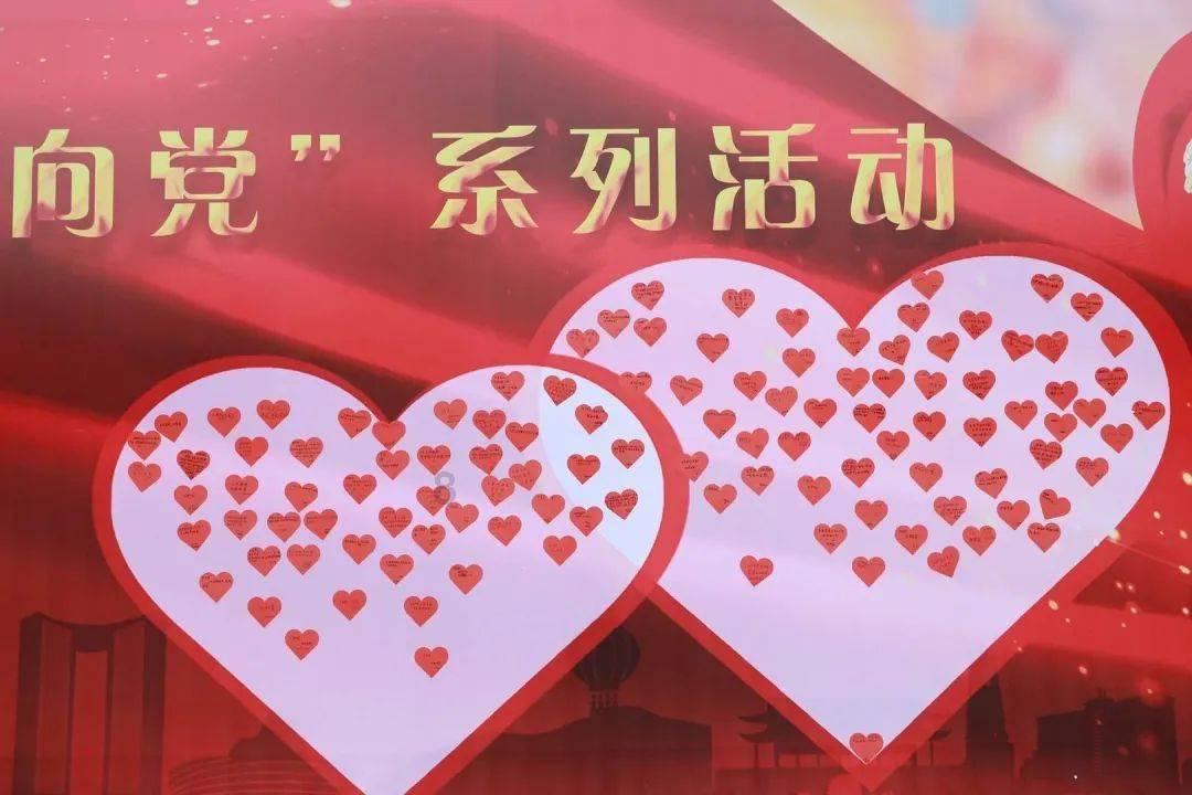 可爱小猫向上跳